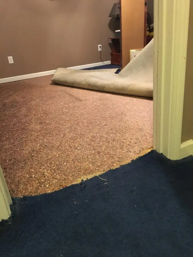 Carpet pad removal revealing water damage during Drying & Dehumidification in Willis