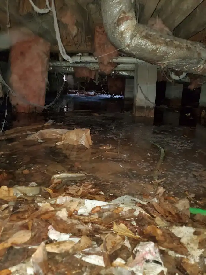 Crawl space flood assessment for Leak Detection & Repair in Willis